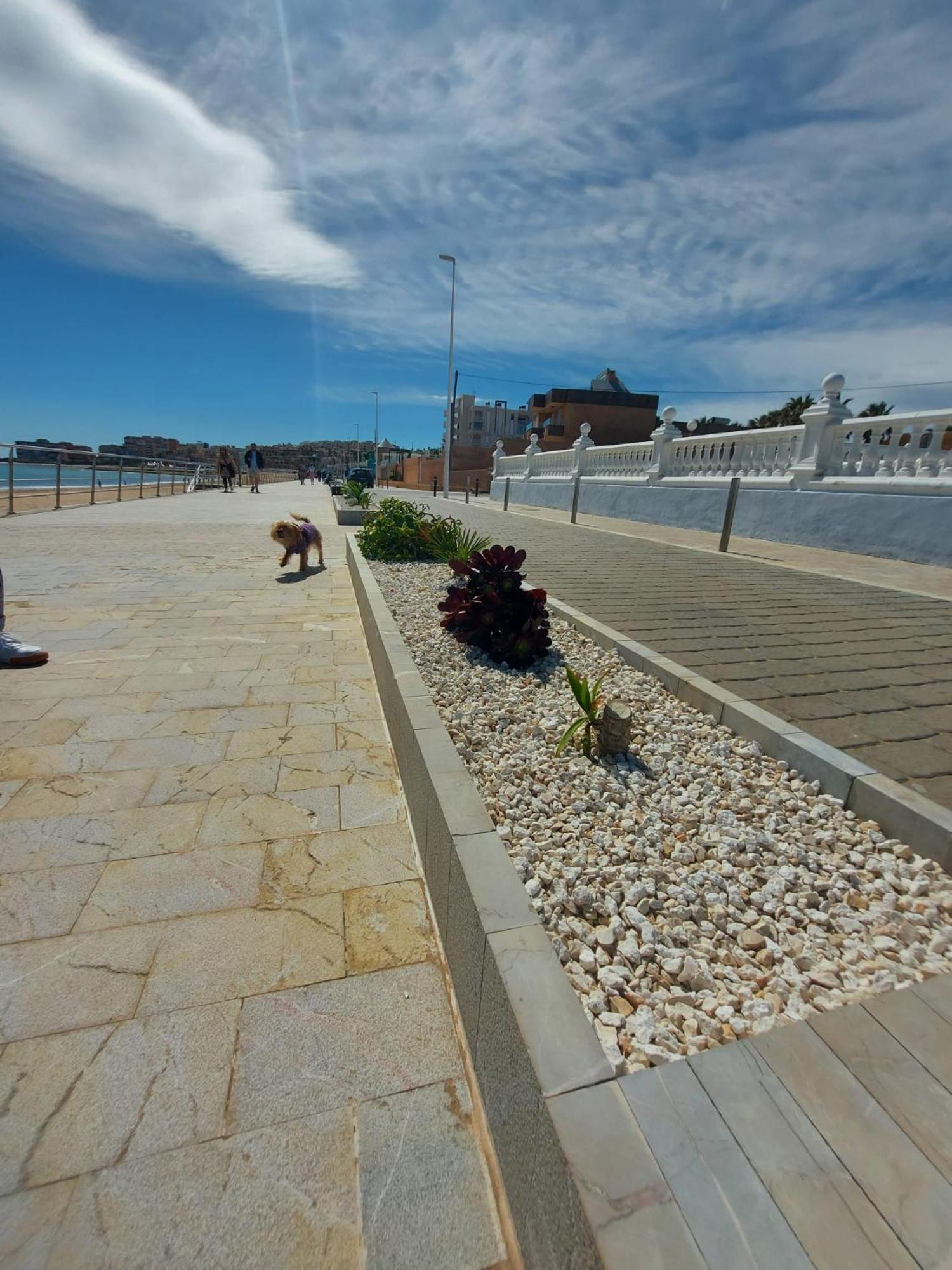 Maravillosa Terraza Con Vistas Al Mar, La Mata Torrevieja Esterno foto